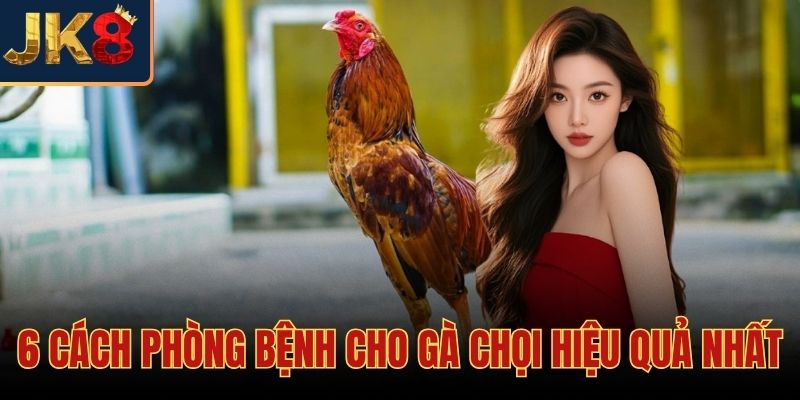 6 Cách Phòng Bệnh Cho Gà Chọi Hiệu Quả Nhất