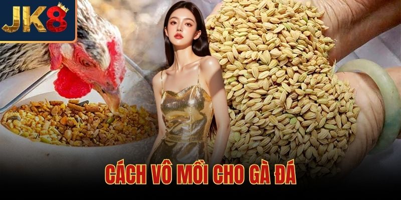 Cách Vô Mồi Cho Gà Đá