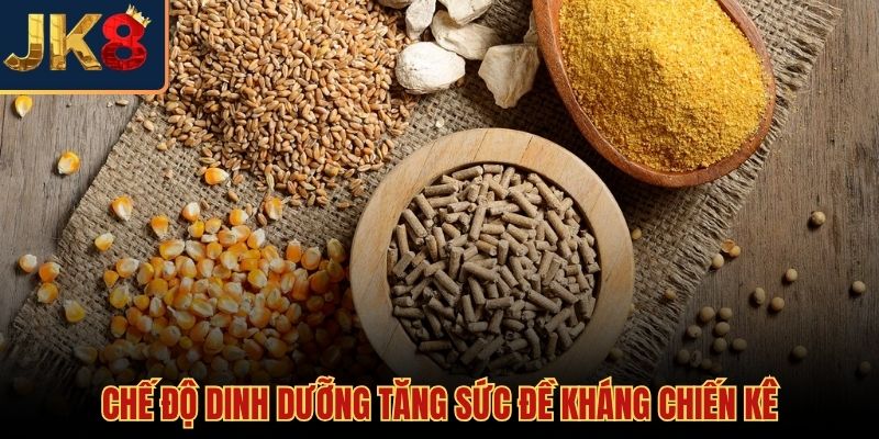 Kháng thể tự nhiên và chế độ dinh dưỡng nuôi gân cốt