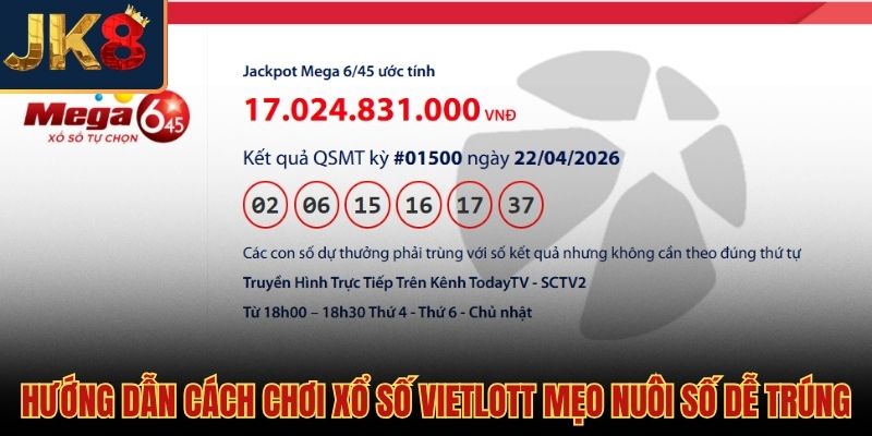 Cách chơi xổ số Vietlott và chiến thuật nuôi số dài hạn