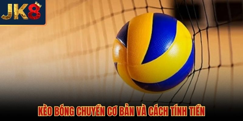 Luật chơi cơ bản quyết định tiềm năng cược bóng chuyền