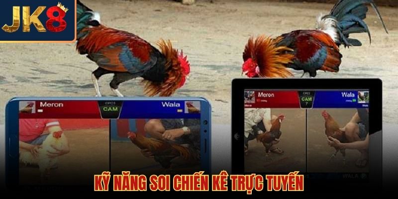 Kỹ năng quan sát hình thể chiến kê qua camera