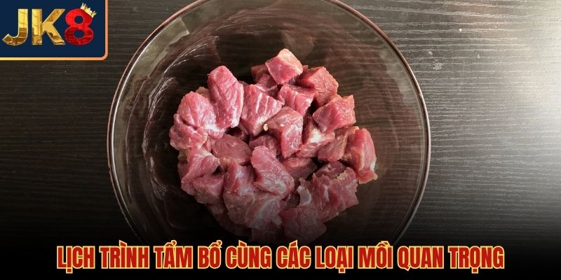 Lịch trình và cách vô mồi cho gà đá chuẩn xác nhất