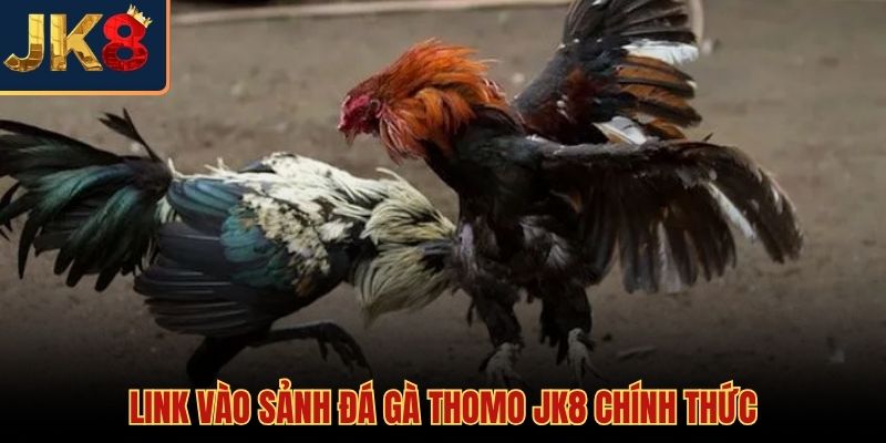 Cổng kết nối đá gà JK8 chính thức an toàn bảo mật
