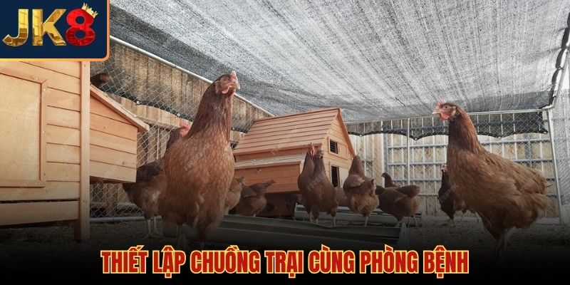 Cách nuôi gà chọi kiểm soát môi trường sống cho chiến kê khỏe mạnh
