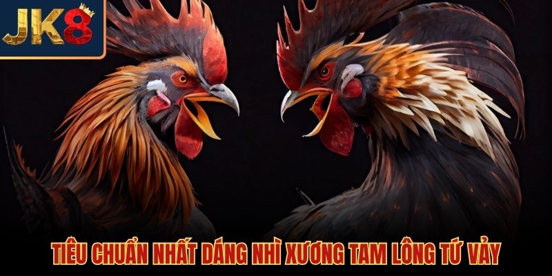 Cách nhận biết gà chọi tốt qua dáng bộ