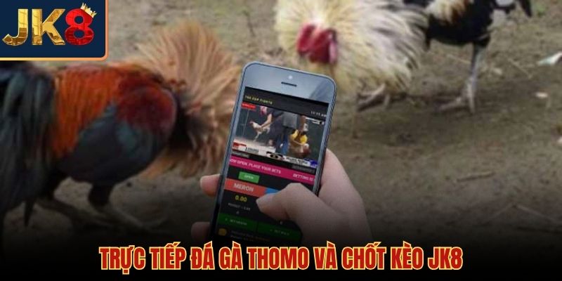 Trận đấu Thomo kịch tính cùng hệ thống cược JK8