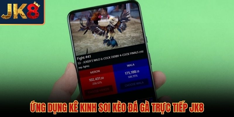 Cách nhận biết gà chọi tốt khi soi kèo
