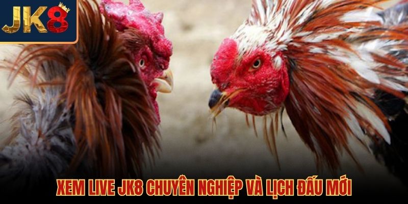 Nền tảng phát chọi gà trực tiếp Campuchia đẳng cấp quốc tế